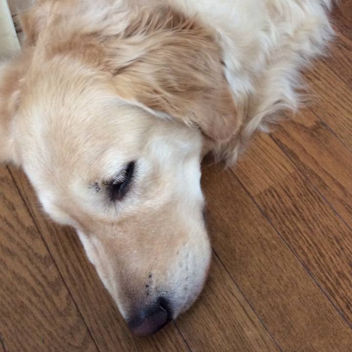 Ae7b912e 1b51 4a16 a712 284fb9603e2c