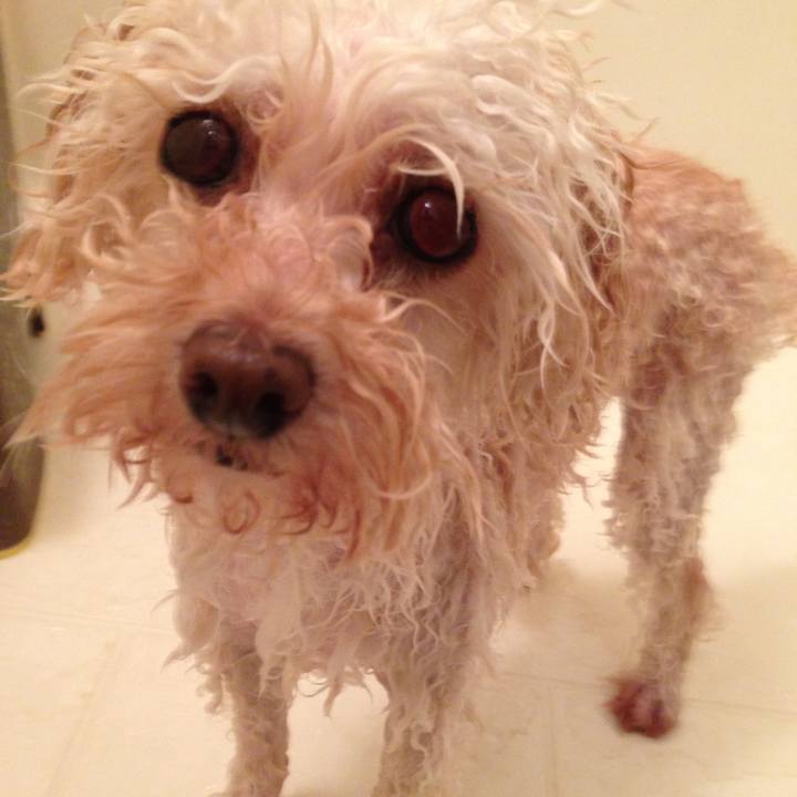 Ae7c0ba6 59b0 436d 9445 466874d486c3