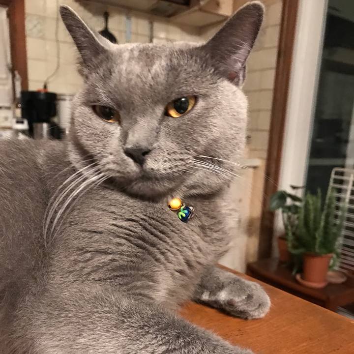 Ae7c1dcc df71 44c9 b091 59a69ee92b95