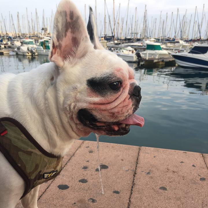 Ae7c3702 1b2c 4d05 a29a 3a930ce07407