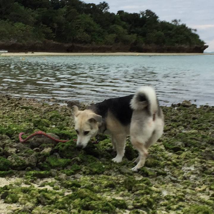 Ae7c9c59 a531 4444 a1b7 25758b3f7721