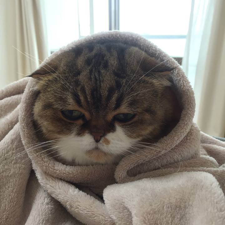 Ae7c9fc8 7e88 43b0 80fc cb2fe341de5d