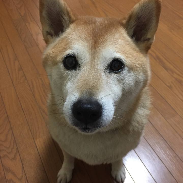 Ae7cb1ac 2a35 46df 8330 87a53569eec2