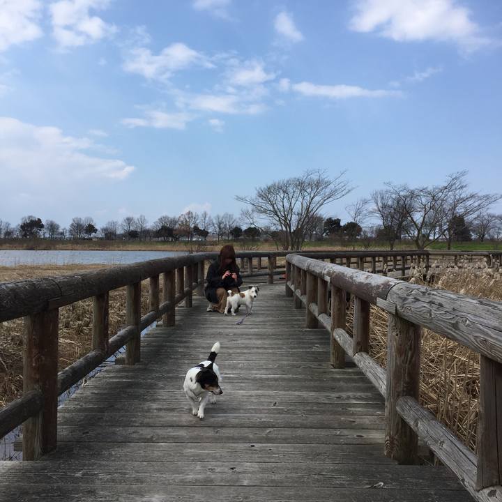 Ae7d5531 7823 4f07 a1ea ae0c095d7abd