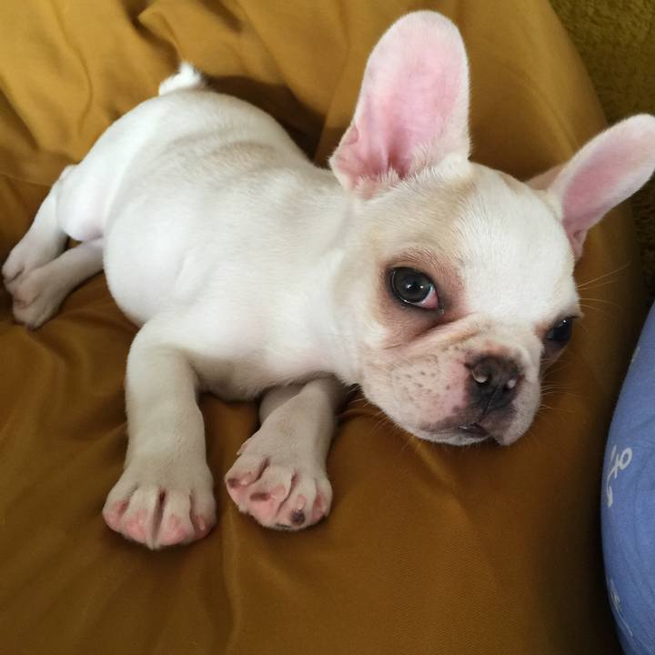 Ae7d8274 ac5b 49a7 9344 ea26cde4572c