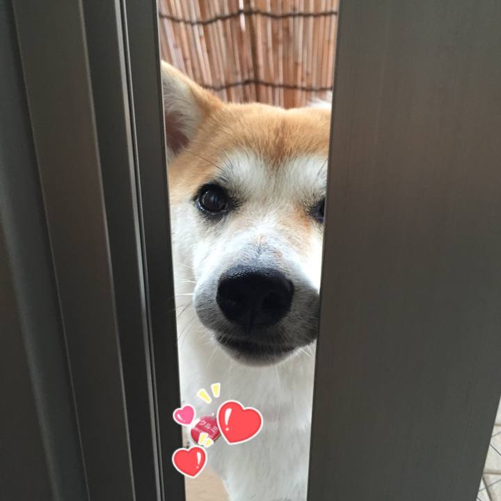 Ae7dce36 577e 4b13 b21e f28769a96294