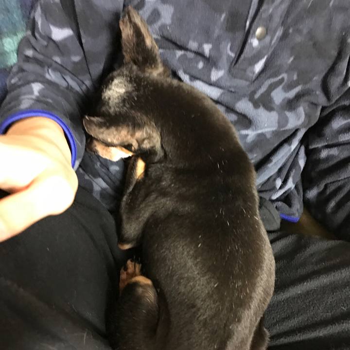 Ae7df6c6 2e2e 491c 9b8f 8073e08e3c50