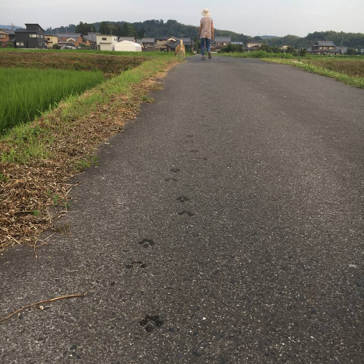 Ae7eb4cb 0404 4c6d b5dc 34c637617bb6