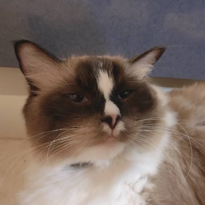 Ae7f41e7 3d61 4449 a721 1bad90421a27