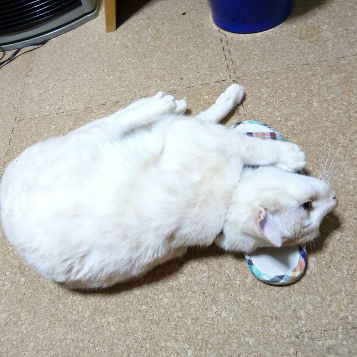 Ae7f7e0a b0cd 4862 993b 0d05f58c008f