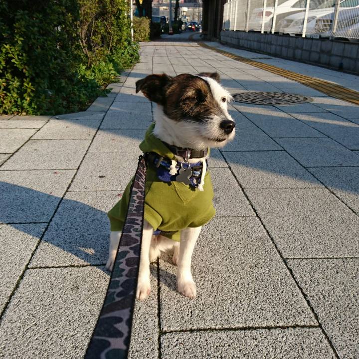 Ae7feae1 6c3f 4f81 9634 432f2a2ff5b0