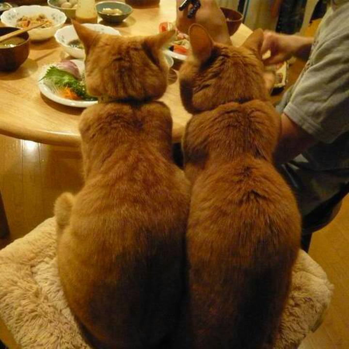 Ae801141 a129 4582 ae62 272764e43966