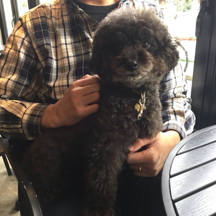 Ae809bac 7f97 4d66 987e 9c2480145c52