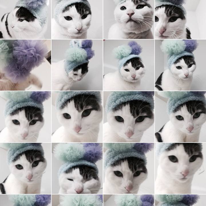 Ae80ffd9 2bfe 476f bee5 330fd19611e8