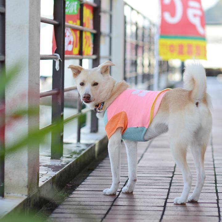 Ae8126df d258 456d b8bc f1a040a96fab