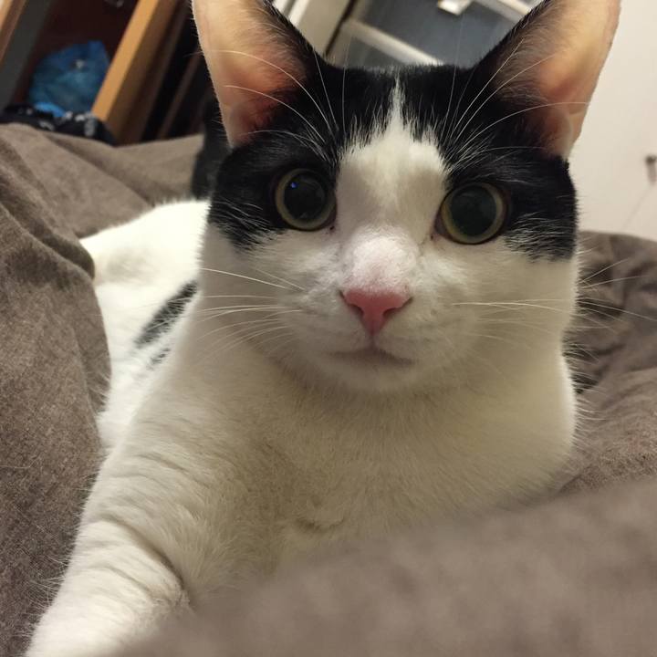 Ae8134a5 a853 42a4 8801 9c0e86978d1d