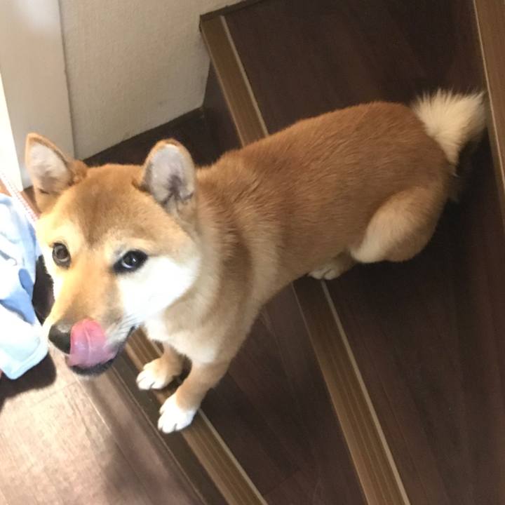 Ae8167af 79d6 4f65 bc56 9a83344b3492