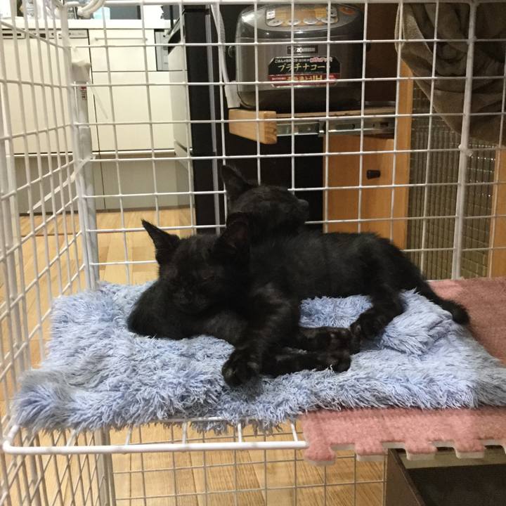 Ae81b2fc b420 46aa a66c b2635b3bab09