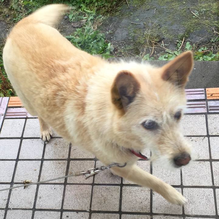 Ae81e8c9 b72b 468e be39 aaa8f78a4446