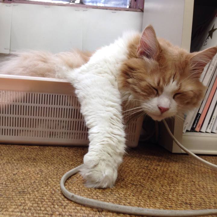 Ae822b6a 823d 4a38 9f10 4a4297dd73d1