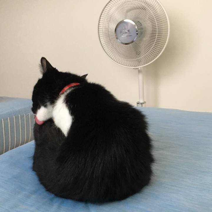 Ae828c7a d9d4 4050 a7ea 96e17cd72edd