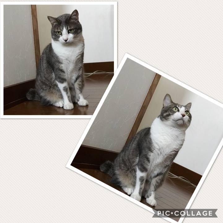 Ae83b395 ab0a 47b0 a50b b9e2706a0fb9