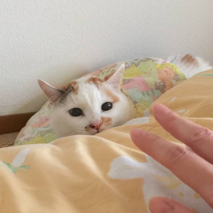 Ae8429e3 fafd 4c6e 8650 a0363063d593