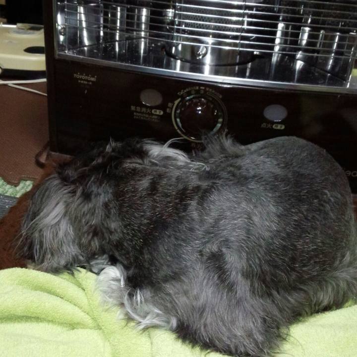 Ae8452d2 1797 4a4c ab7b dd90240531c0