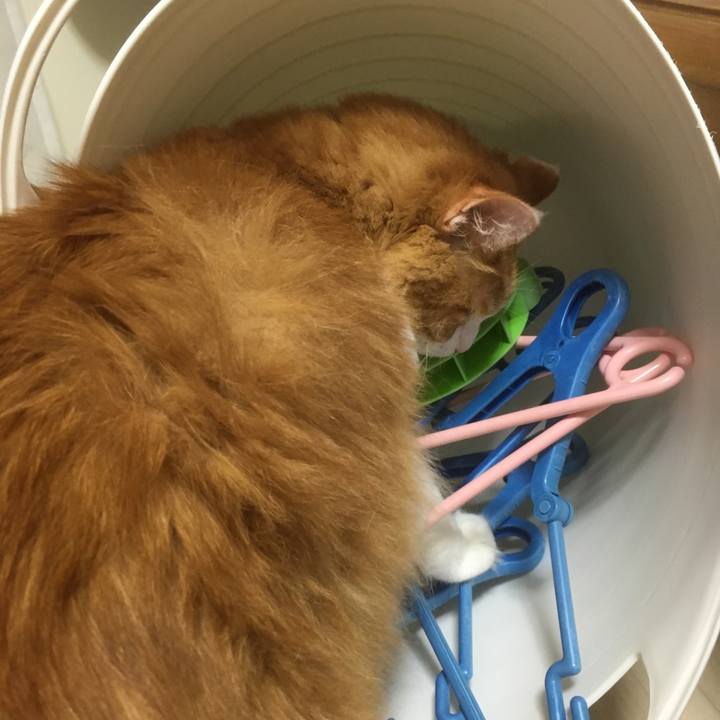 Ae848dfb 4ee4 4444 97d6 093dc3c2ba28