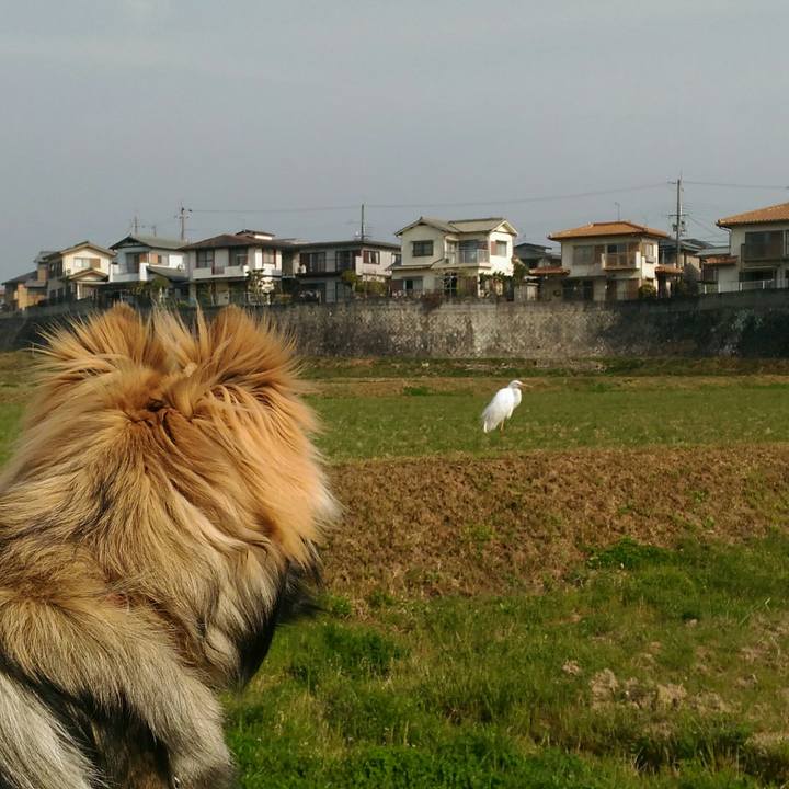 Ae848f89 04a6 4594 b837 5f27105fd6fa