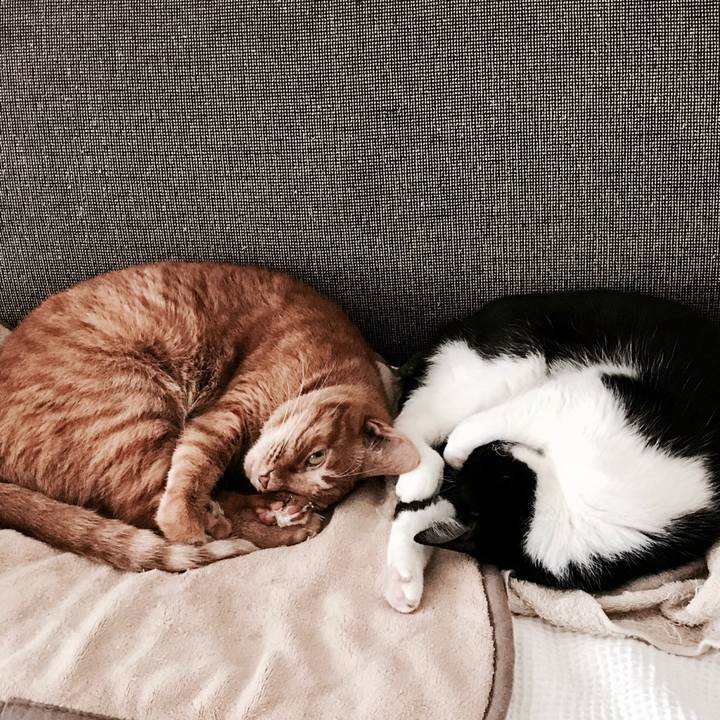 Ae849041 83e3 4637 98a5 b4bc62f9df1a