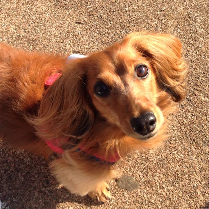 Ae849b09 a011 46ba 8f75 2a76592de486