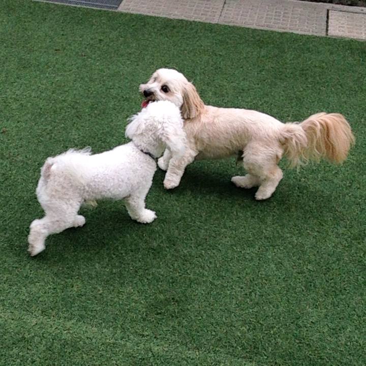 Ae84cd0f ed1d 4dc5 b67f dc483c6af1c4