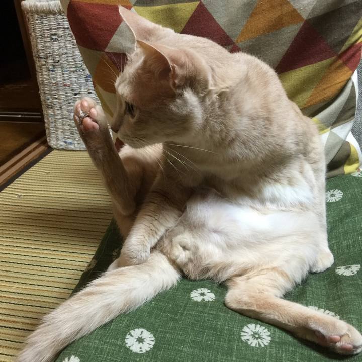 Ae84e301 21c4 46c4 87ae 261c9beb6a3f