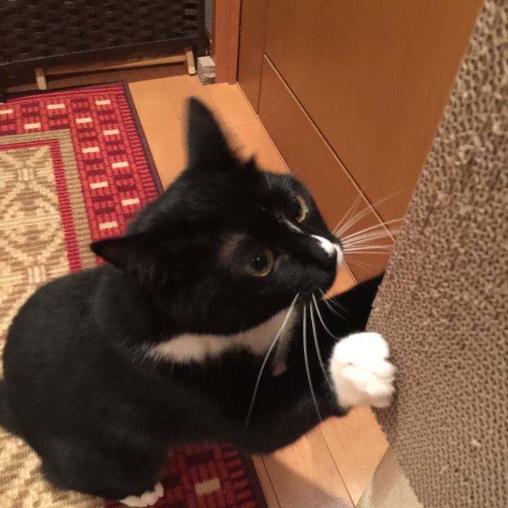 Ae8530f2 a7bd 4324 8f9d 90021eb18ce9