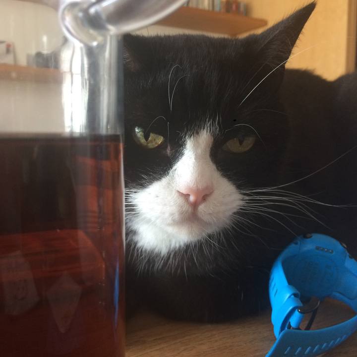 Ae859ca8 44e2 48f5 a1cf d976bce4e0d8