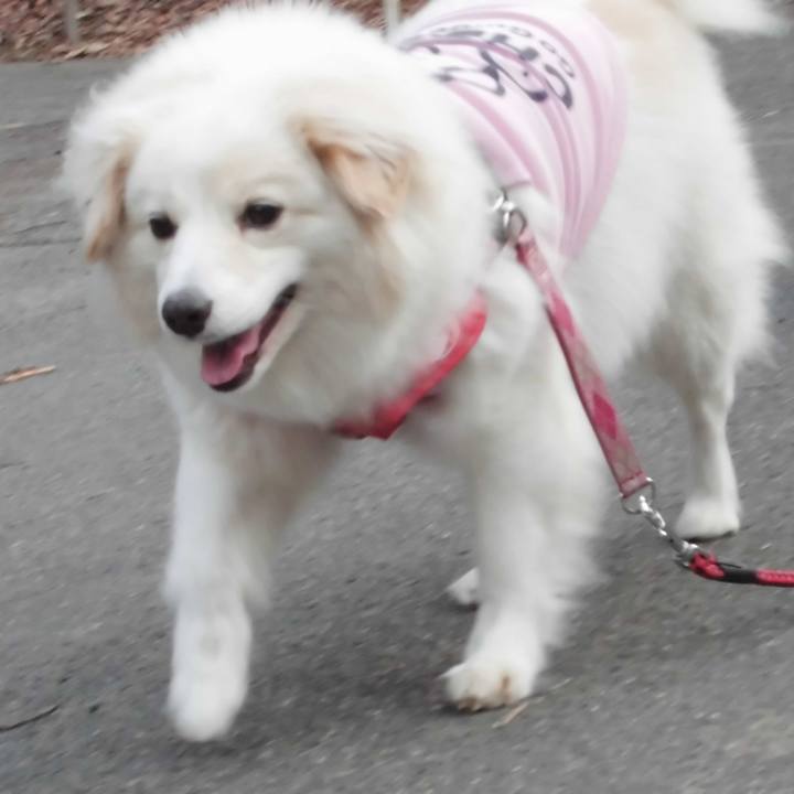 Ae8611c2 f622 48d7 89d6 7e1ae4632843