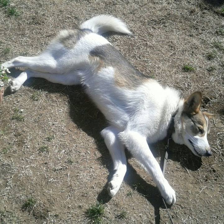 Ae86b4ed 29e2 46ab bc6a 9e7360ed9d8b