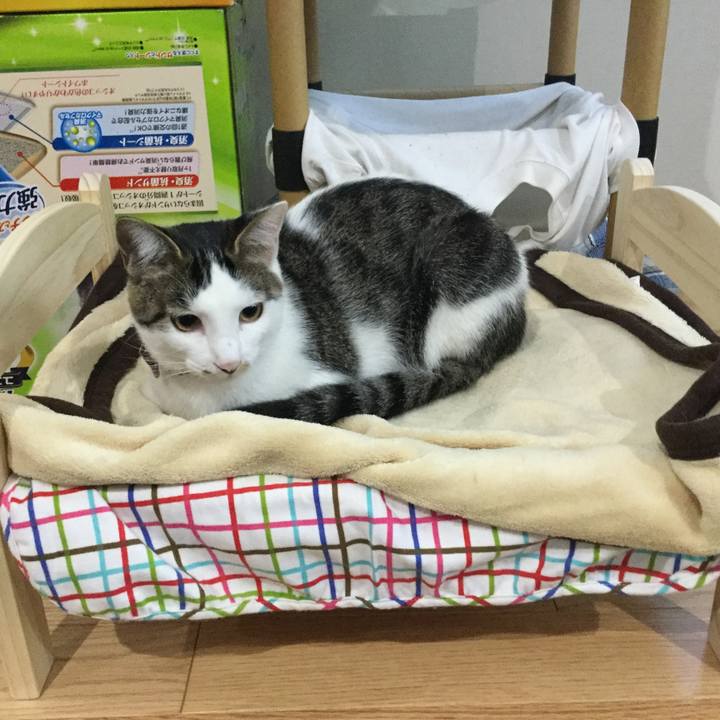 Ae8712c6 be41 49c5 8ed9 02f24371f036