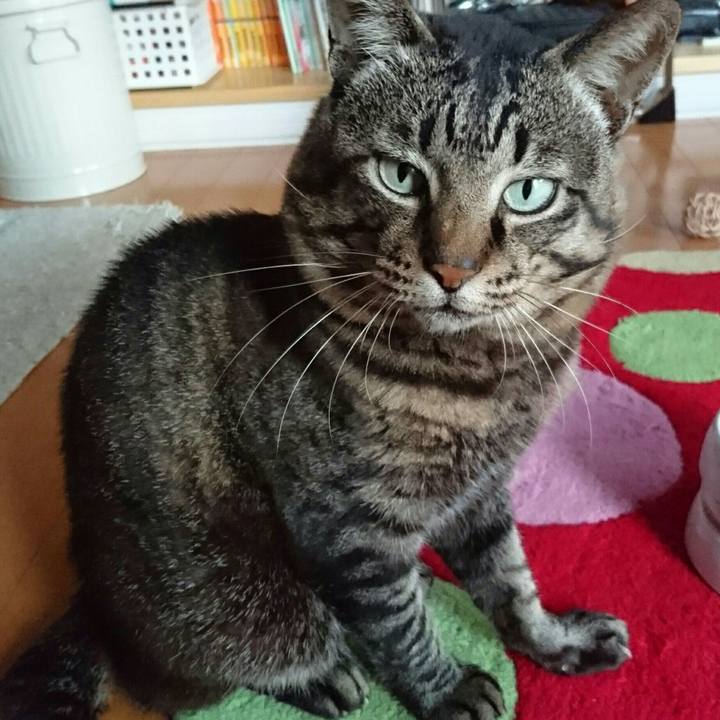 Ae8801ac 6d9b 4c75 b786 c62dc03c0a4f