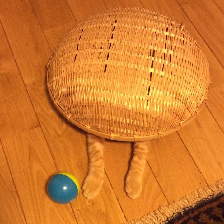 Ae8814f6 1fd7 4205 9910 70bfe81c6928