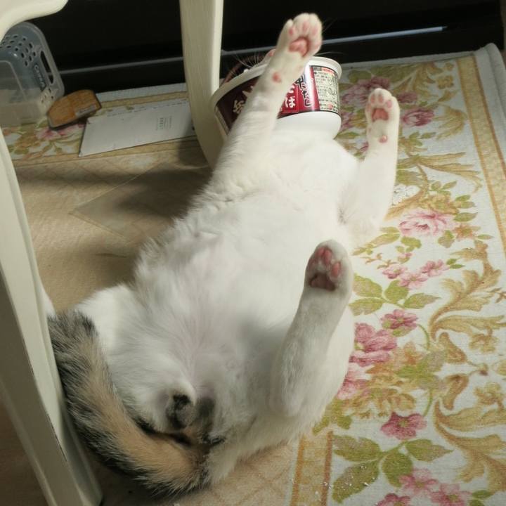 Ae88449d 2d29 49aa b417 7b256f7f368a