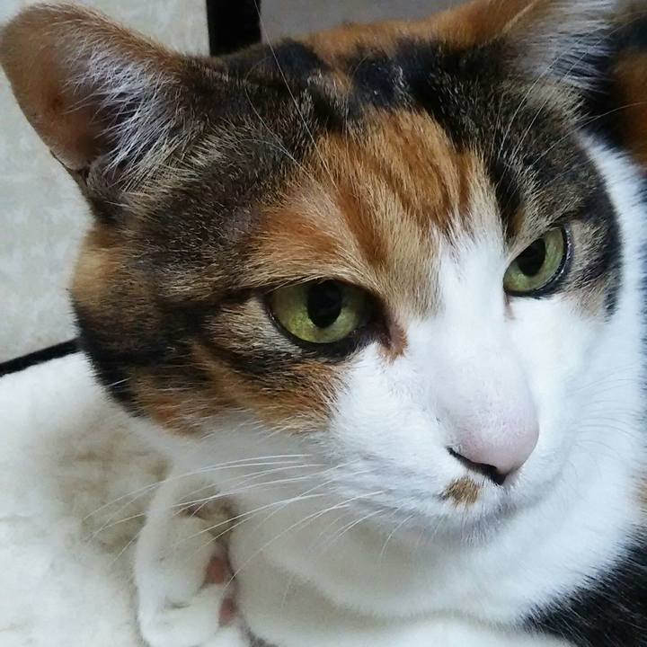 Ae885617 7963 4d88 a00c 2f9d24cd773d