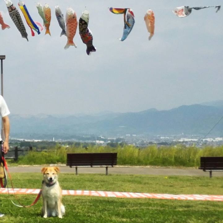 Ae88918e d294 4bc3 9867 d7156a0d33e0