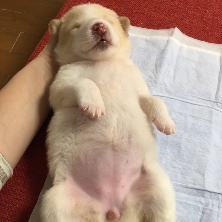 Ae889dbb b7cf 4ddd 9182 5d281802b604