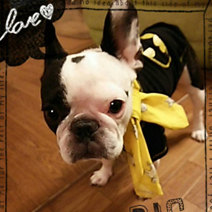 Ae88fe9b 63e9 48e3 a567 416dbb7006cd