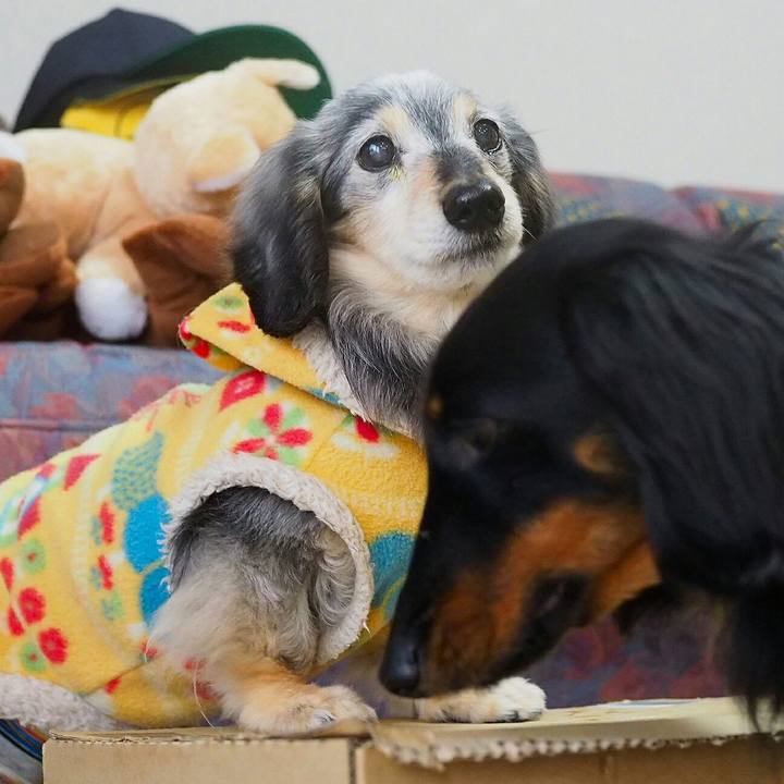 Ae89a9b3 be8e 4159 a713 ad8149cbd5b8