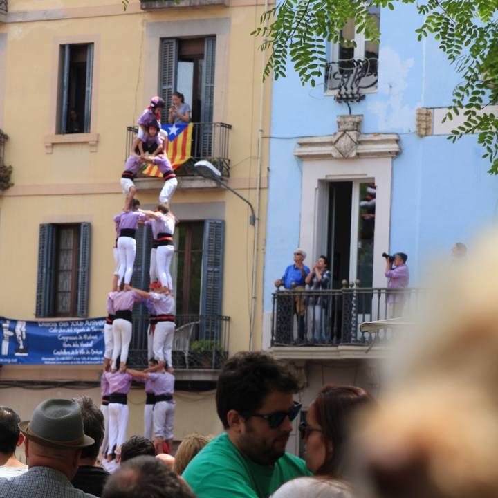 Ae89ca77 3540 4e33 83c5 71538c02b484