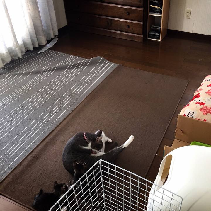 Ae89f3b2 89d0 446b 9183 cdc31413fea5