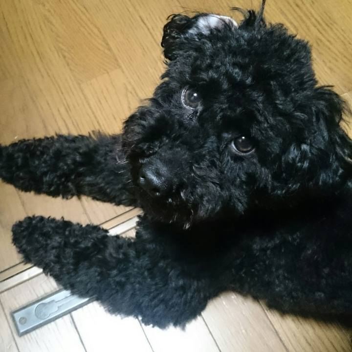 Ae8a2a6d 3acf 4832 a822 07f3a8c6a62d